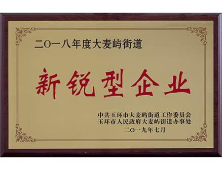 新锐型企业