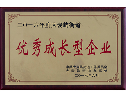 优秀成长型企业