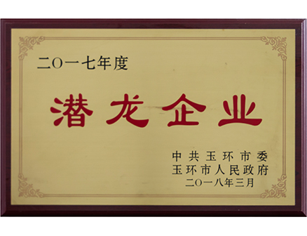 潜龙企业