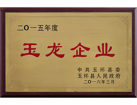 二O一五年度玉龙企业