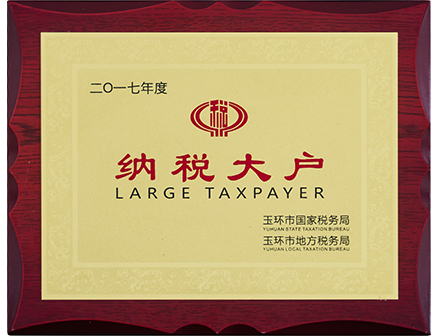 二O一七年度纳税大户